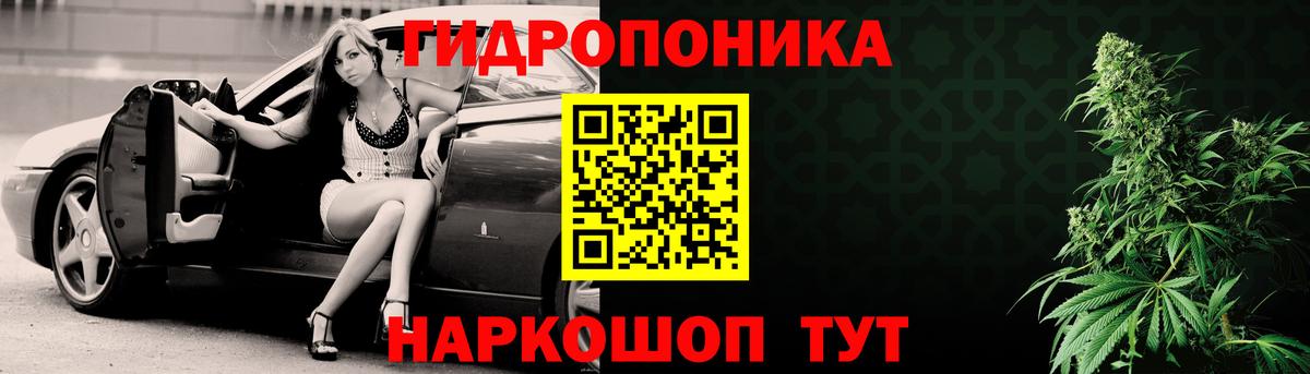Бошки марихуана индика  Вход с VPN  МАРИХУАНА планчик  Каннабис тримм  Александров 